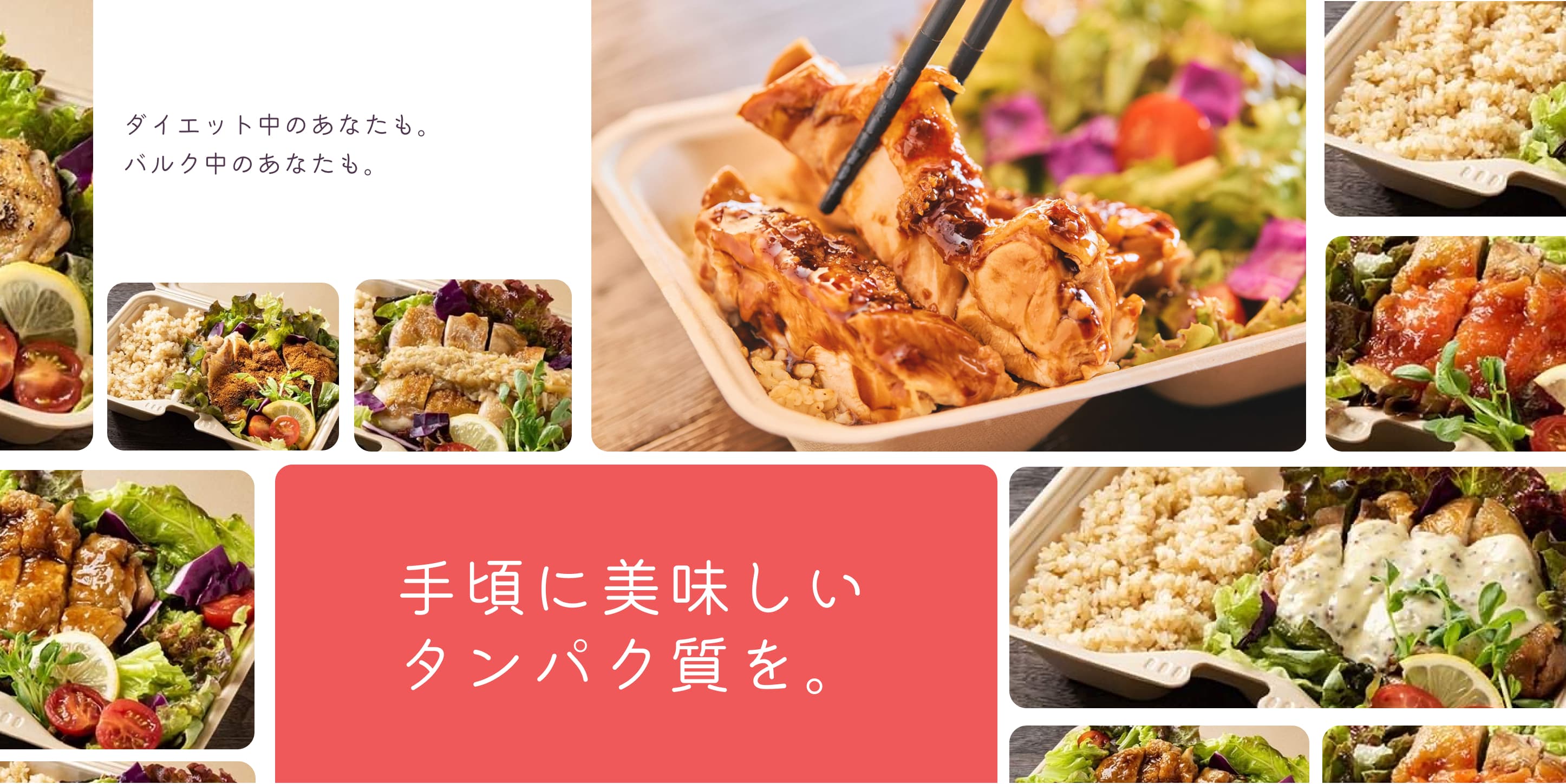 鶏あえずタンパク ヘルシー＆高タンパク弁当